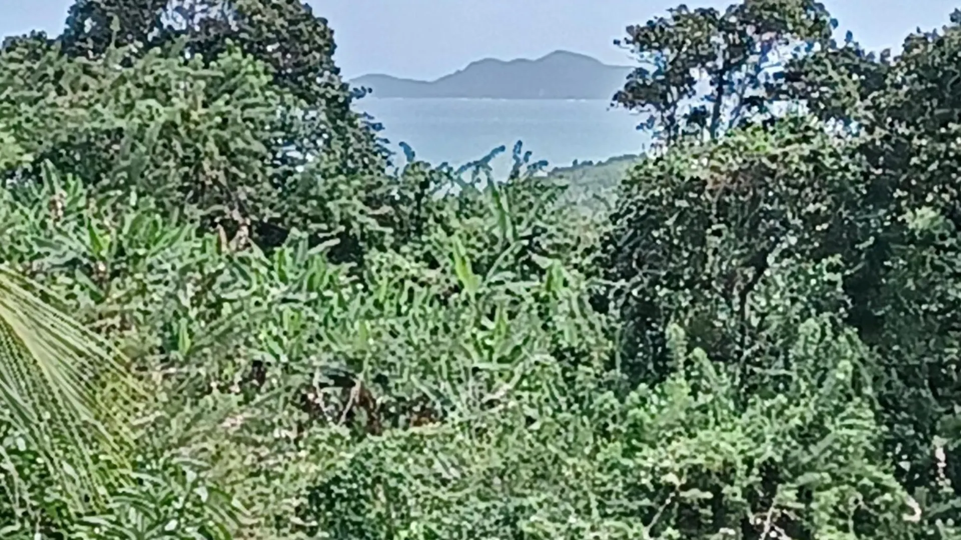 Villa Timokei Fond Saint-Jacques 0*,  马提尼克
