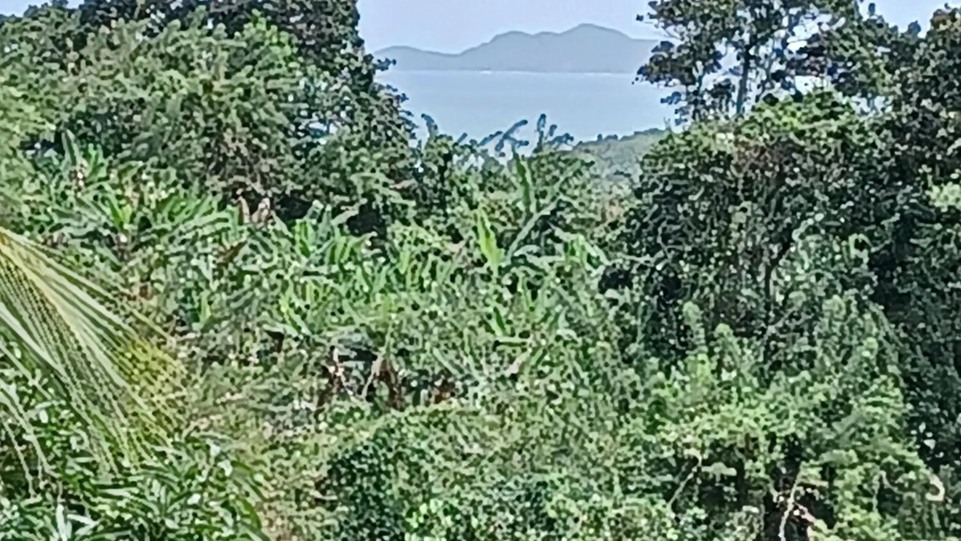 Villa Timokei Fond Saint-Jacques 0*,